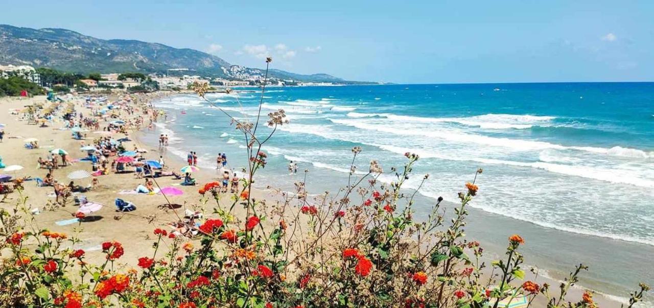 Villa Paula Alcossebre Mar Y Montana Экстерьер фото